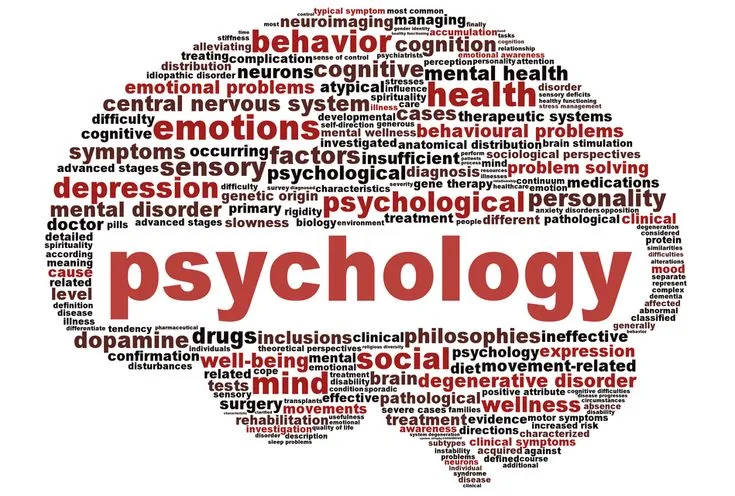 Best Universities for Psychology Research