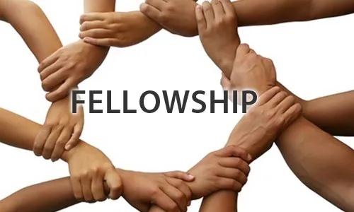 Postdoctoral Fellowship Programs