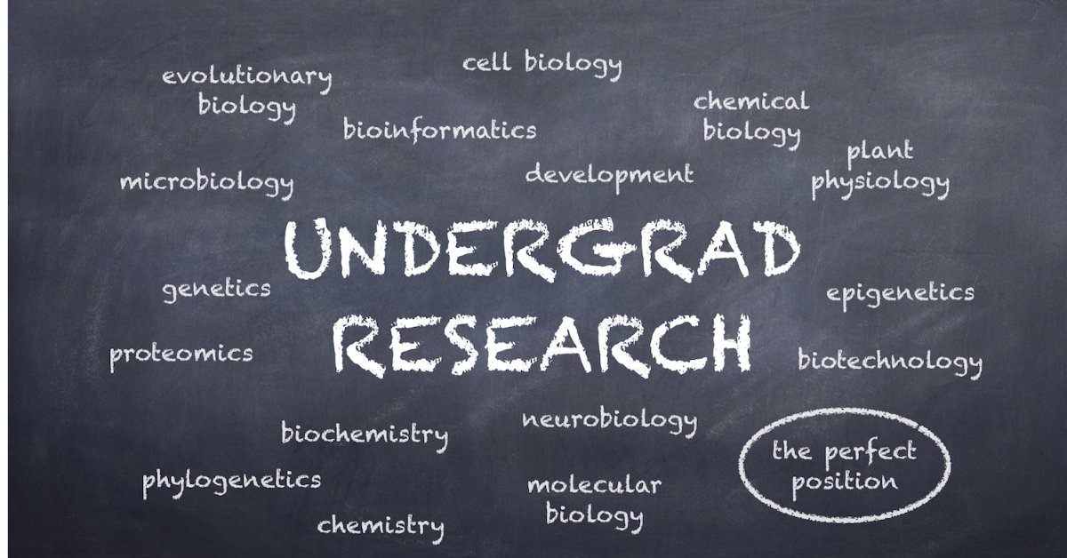 Research Opportunities for Undergraduates