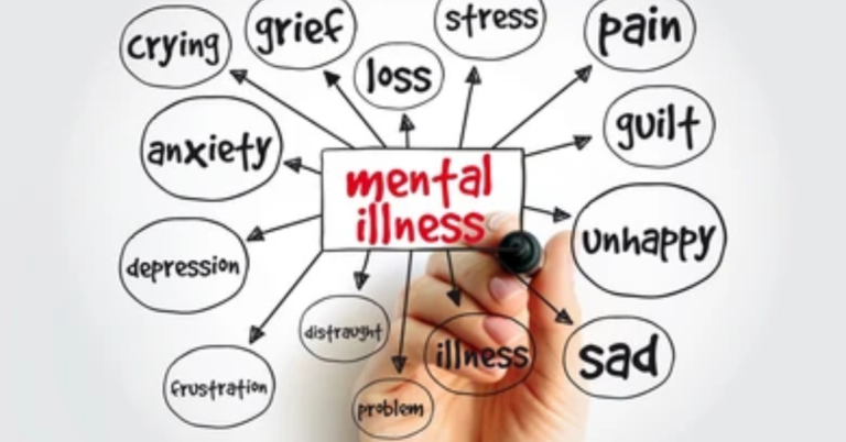 University Mental Health Services